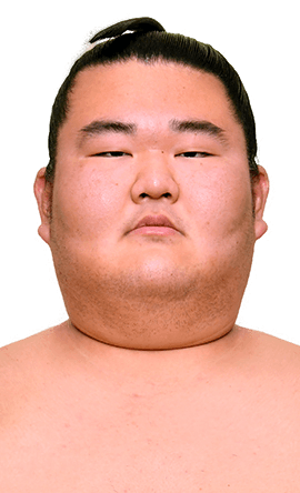 Portrait of the sumo wrestler