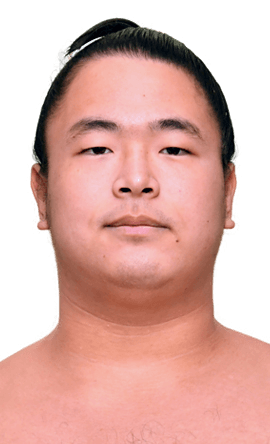 Portrait of the sumo wrestler