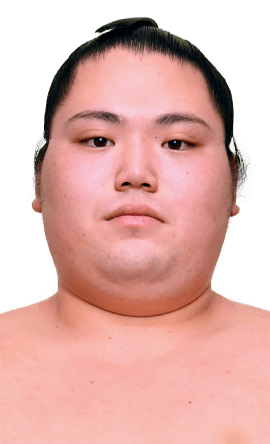 Portrait of the sumo wrestler