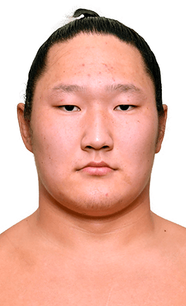 Portrait of the sumo wrestler