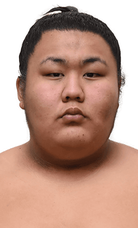 Portrait of the sumo wrestler