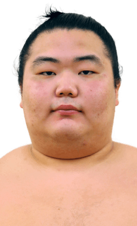 Portrait of the sumo wrestler