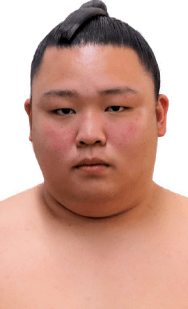 Portrait of the sumo wrestler