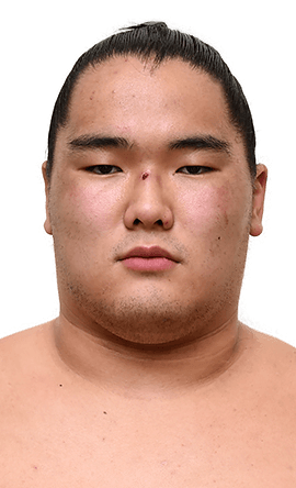 Portrait of the sumo wrestler