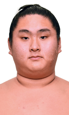 Portrait of the sumo wrestler