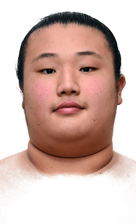 Portrait of the sumo wrestler