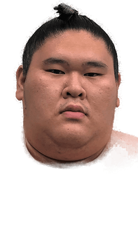 Portrait of the sumo wrestler