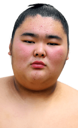 Portrait of the sumo wrestler