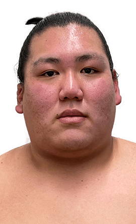 Portrait of the sumo wrestler