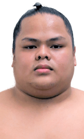 Portrait of the sumo wrestler