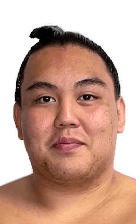 Portrait of the sumo wrestler