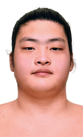 Portrait of the sumo wrestler