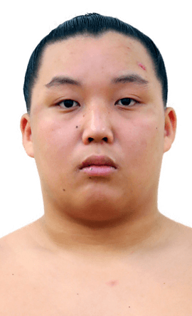 Portrait of the sumo wrestler