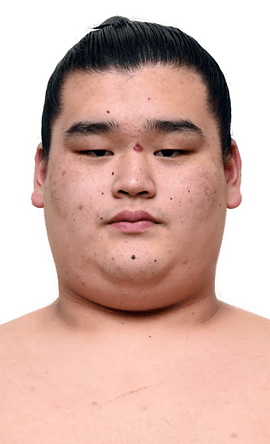 Portrait of the sumo wrestler