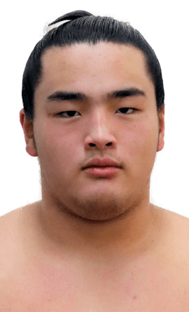 Portrait of the sumo wrestler