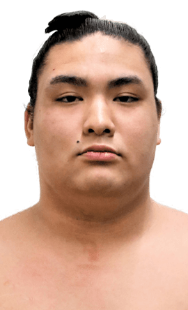 Portrait of the sumo wrestler