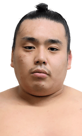 Portrait of the sumo wrestler