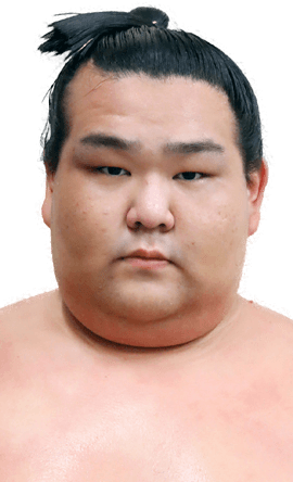 Portrait of the sumo wrestler