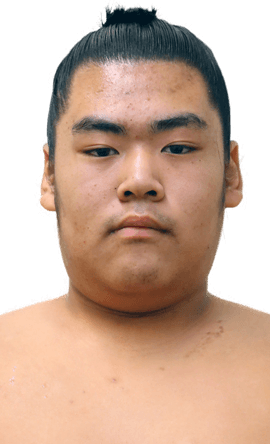 Portrait of the sumo wrestler