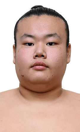 Portrait of the sumo wrestler