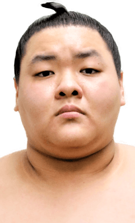 Portrait of the sumo wrestler