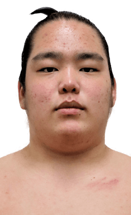 Portrait of the sumo wrestler