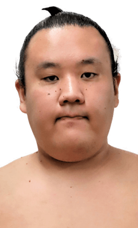 Portrait of the sumo wrestler