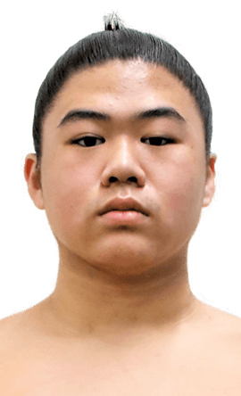 Portrait of the sumo wrestler