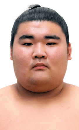 Portrait of the sumo wrestler