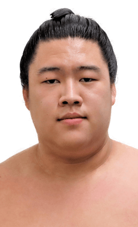 Portrait of the sumo wrestler