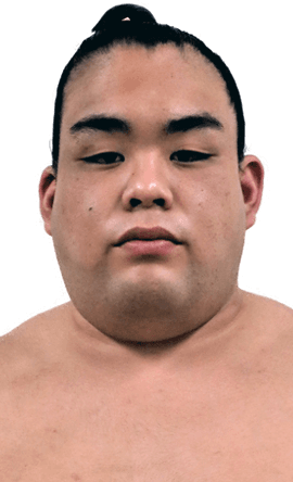 Portrait of the sumo wrestler