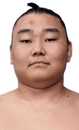 Portrait of the sumo wrestler