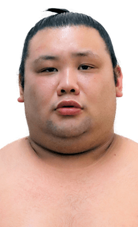 Portrait of the sumo wrestler