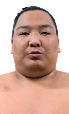 Portrait of the sumo wrestler