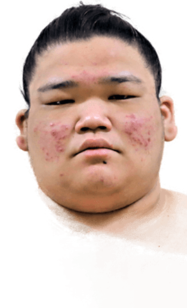 Portrait of the sumo wrestler