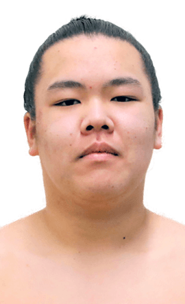 Portrait of the sumo wrestler