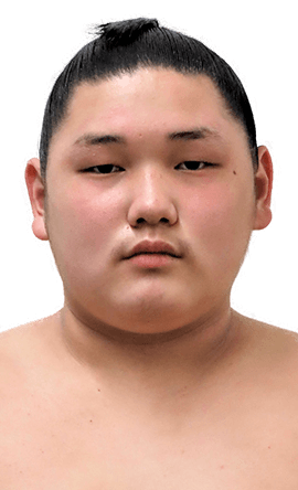 Portrait of the sumo wrestler