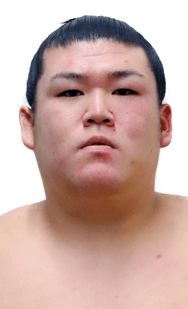 Portrait of the sumo wrestler