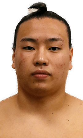 Portrait of the sumo wrestler