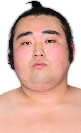 Portrait of the sumo wrestler