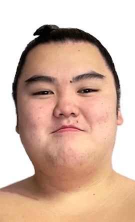 Portrait of the sumo wrestler