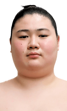 Portrait of the sumo wrestler