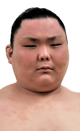 Portrait of the sumo wrestler