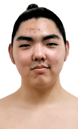 Portrait of the sumo wrestler