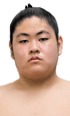 Portrait of the sumo wrestler