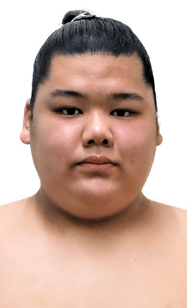 Portrait of the sumo wrestler