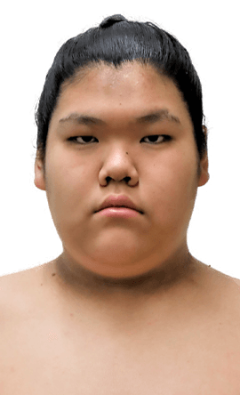 Portrait of the sumo wrestler