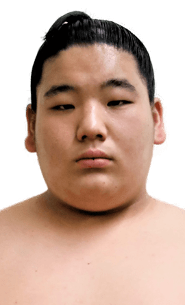 Portrait of the sumo wrestler