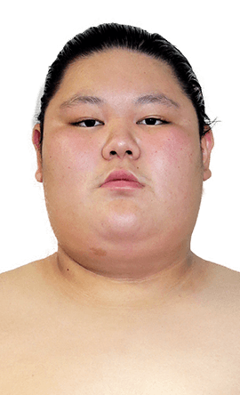 Portrait of the sumo wrestler