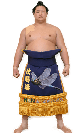 Portrait of the sumo wrestler